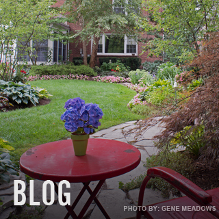 Four Seasons Garden Center and Custom Landscape Services Blog