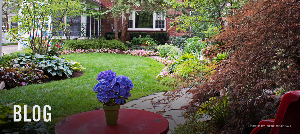 Four Seasons Garden Center and Custom Landscape Services Blog