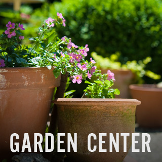 Visit the Four Seasons Garden Center