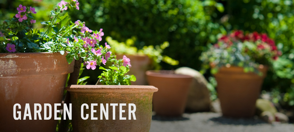 Visit the Four Seasons Garden Center