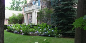 landscaping design