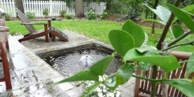 water features and elements